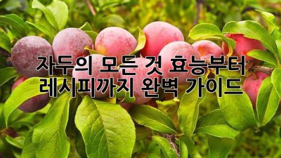 자두의 모든 것: 효능부터 레시피까지 완벽 가이드